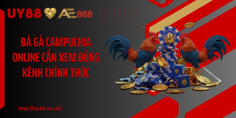 Đá gà campuchia online cần xem đúng kênh chính thức 
