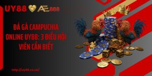 Đá Gà Campuchia Online UY88: 3 Điều Hội Viên Cần Biết 