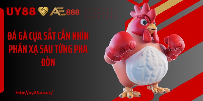 Đá gà cựa sắt cần nhìn phản xạ sau từng pha đòn