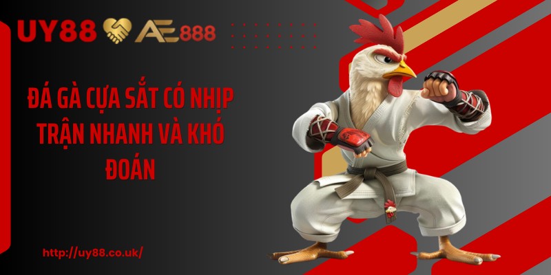 Đá gà cựa sắt có nhịp trận nhanh và khó đoán