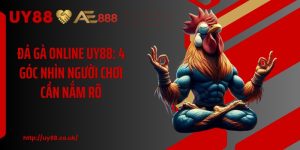 Đá Gà Online UY88: 4 Góc Nhìn Người Chơi Cần Nắm Rõ