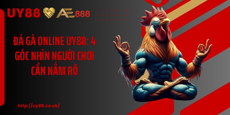 Đá Gà Online UY88: 4 Góc Nhìn Người Chơi Cần Nắm Rõ