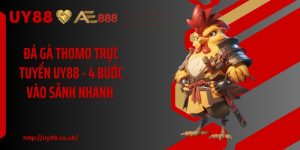 Đá Gà Thomo Trực Tuyến UY88 - 4 Bước Vào Sảnh Nhanh 