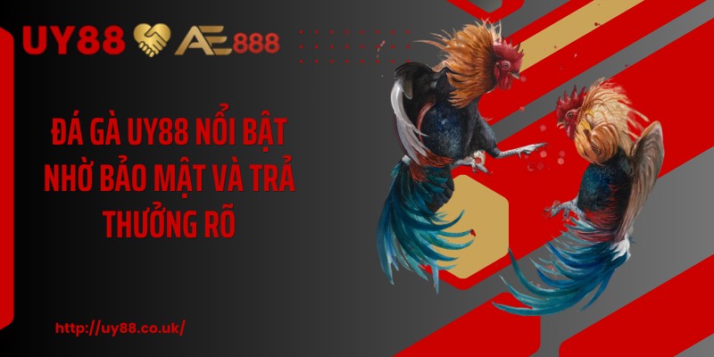 Đá gà UY88 nổi bật nhờ bảo mật và trả thưởng rõ